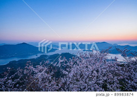 瀬戸内・岩城島 積善山三千本桜 夜明け 瀬戸内・岩城島 積善山三千本桜 夜明け 89983874