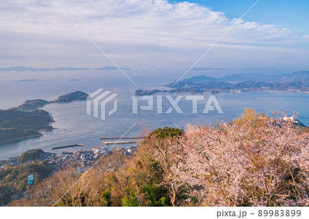 瀬戸内・岩城島　積善山三千本桜　夜明け 89983899