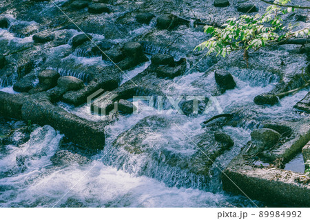 初夏　八瀬 89984992