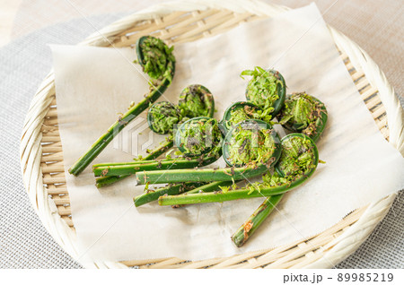 天然のこごみ 89985219