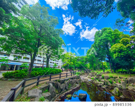 東京板橋・新緑の高島平緑地 89985336