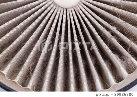dust, hairs and fur on radial HEPA filter, close-up with selective focus dust, hairs and fur on radial HEPA filter, close-up with selective focus 89986280