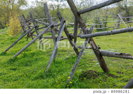 rustic gray thin log fence at summer day rustic gray thin log fence at summer day 89986281