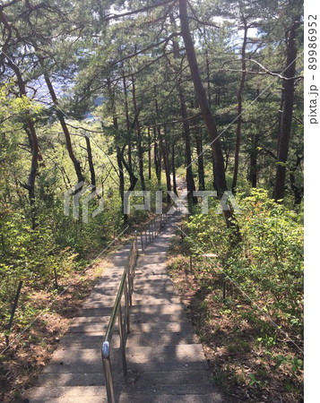 村山虚空蔵院への階段 村山虚空蔵院への階段 89986952