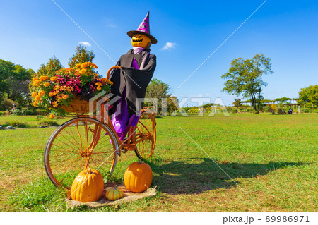 フラワーパーク江南のハロウィン 〈愛知県江南市〉 フラワーパーク江南のハロウィン 〈愛知県江南市〉 89986971