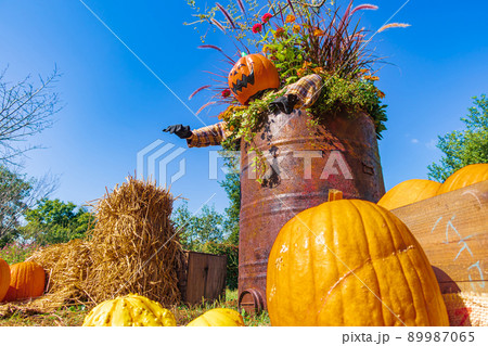 フラワーパーク江南のハロウィン 〈愛知県江南市〉 89987065
