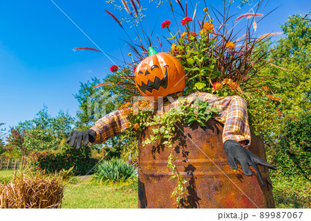 フラワーパーク江南のハロウィン 〈愛知県江南市〉 89987067