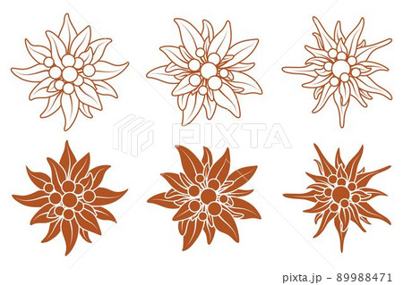 Collection Of Logo With Edelweiss Flowers のイラスト素材 9471