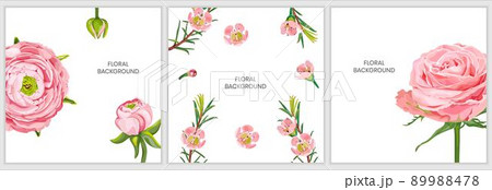 Floral background with pink rose, ranunculus flowers, chamelaucium isolated on a white background. Floral background with pink rose, ranunculus flowers, chamelaucium isolated on a white background. 89988478