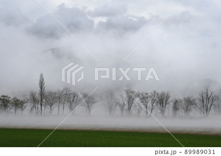 知床地方の地霧（北海道） 89989031