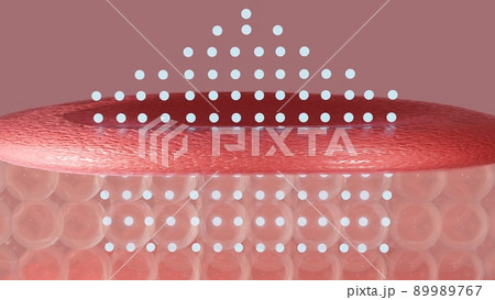 3D rendering The skin structure layer Microstructure 89989767