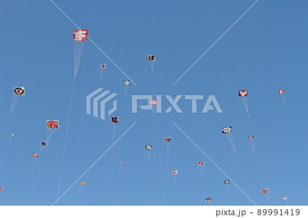 大空にたくさんの凧が上がる伝統行事の浜松祭り 大空にたくさんの凧が上がる伝統行事の浜松祭り 89991419