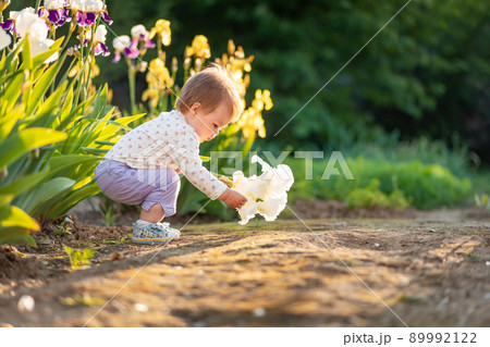 A cute little baby holds an iris flower in his hands, sitting near irises bushes. Sunset sunlight. The concept of a happy childhood 89992122