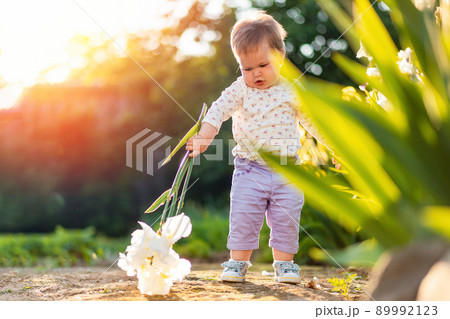 Pretty baby girl holds a white iris flower in her hands, walking at the garden. Sunset sunlight. View through the leaves. The concept of a happy childhood 89992123