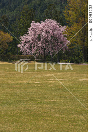 210425ひろ野g146 89993252