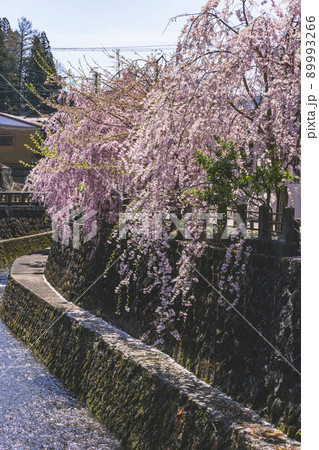 210415江名子桜g011 210415江名子桜g011 89993266