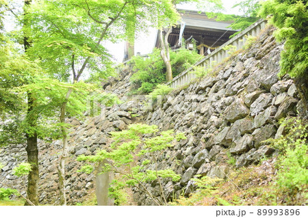 栃木　唐沢山城跡の 89993896