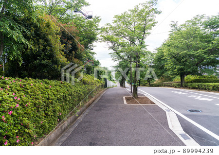 多摩境通りからの脇道 下り坂 多摩境駅の東口 京王相模原線 春の青空 東京都町田市 多摩境通りからの脇道 下り坂 多摩境駅の東口 京王相模原線 春の青空 東京都町田市 89994239