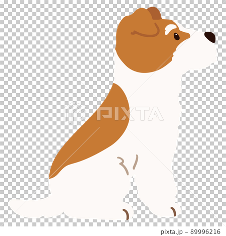 Simple and cute Wire Fox Terrier illustration sitting sideways without main line 89996216