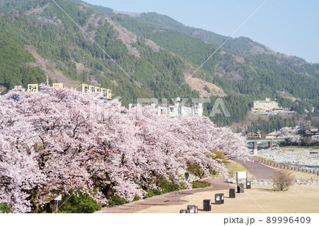 【下呂温泉】飛騨川沿いの桜並木と普通列車 【下呂温泉】飛騨川沿いの桜並木と普通列車 89996409