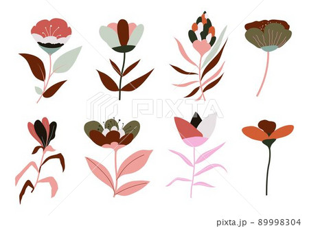 Flowers in blossom, flourishing plants and flora Flowers in blossom, flourishing plants and flora 89998304