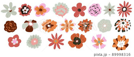 Flower in blossom, blooming plants botany decor 89998316