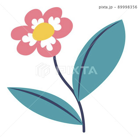 Flower in blossom, blooming wildflower with leaves Flower in blossom, blooming wildflower with leaves 89998356