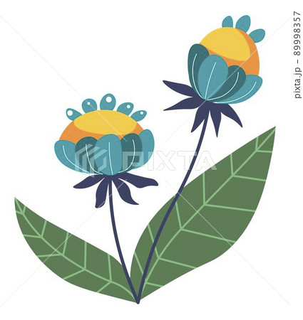 Flourishing wildflowers, houseplants in blossom Flourishing wildflowers, houseplants in blossom 89998357
