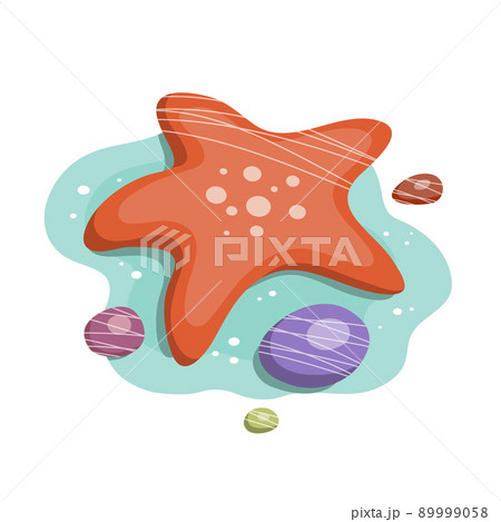 Starfish and pebbles on the seabed on white background 89999058