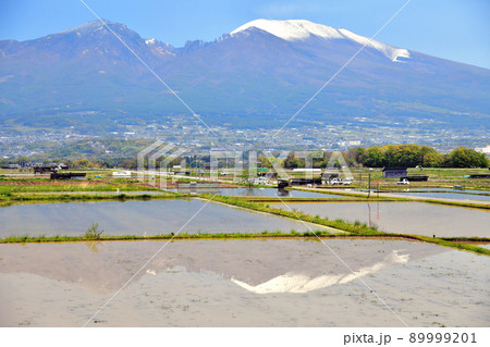 五郎兵衛新田より浅間山方面を望む(長野県佐久市)【2022.5】 89999201