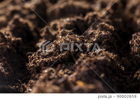 fertile black soil for sowing and growing agricultural plants 90002659