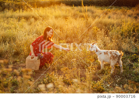Holidays in the countryside. Rural Countryside Breaks and Getaways. Relaxing countryside break in rural cottage. Woman in dress feeding goats on the lawn 90003716