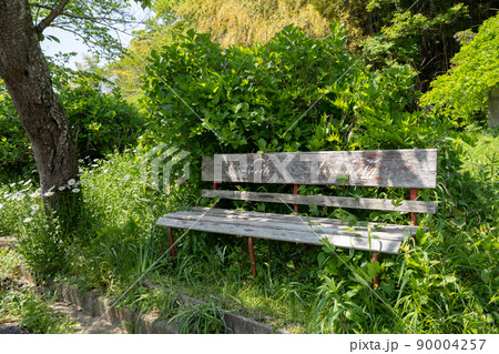 木陰の古いベンチ＜千葉県香取市/5月＞ 90004257