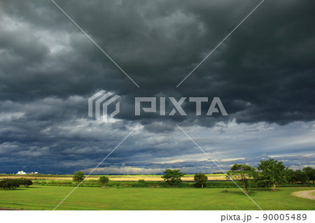 台風一過 90005489