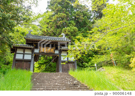 大年寺惣門（だいねんじそうもん）仙台市指定文化財　新緑　春 90006148