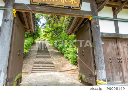 大年寺惣門（だいねんじそうもん）石段　新緑　静寂　春 90006149