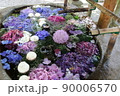 初夏の花々 90006570