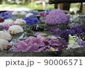 初夏の花々 90006571