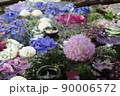初夏の花々 90006572
