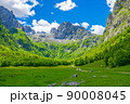 Picturesque meadows and forests are located among the high mountains. 90008045