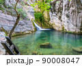 A small picturesque waterfall in a cozy mountain lagoon. 90008047