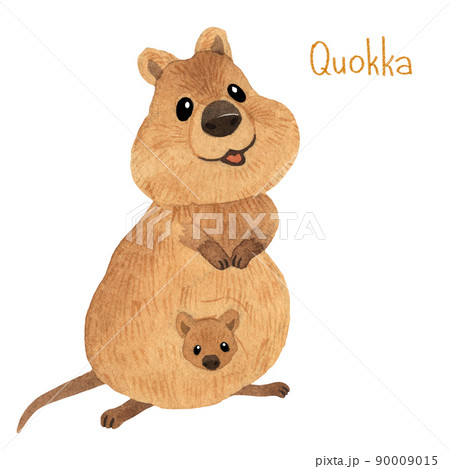 Cute kawaii hand drawn watercolor art. Smiling australian quokka 90009015