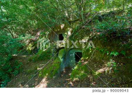 神奈川県中郡大磯町の重要文化財(楊谷寺谷戸横穴墓群) 90009043