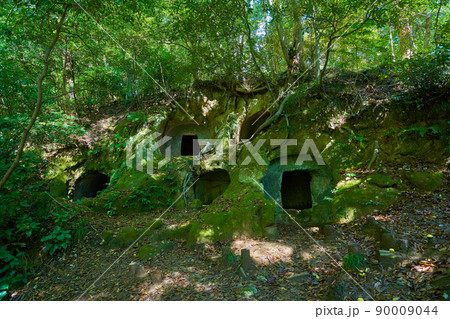 神奈川県中郡大磯町の重要文化財(楊谷寺谷戸横穴墓群) 90009044