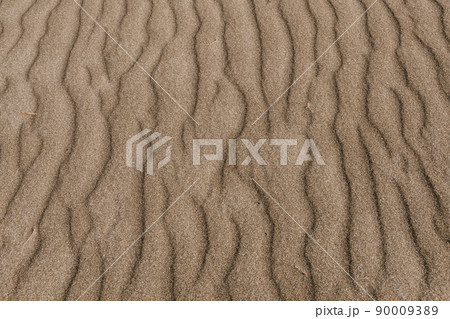 Yellow sand dunes as backdrop. Hot weather in desert, lack of water, soil erosion Yellow sand dunes as backdrop. Hot weather in desert, lack of water, soil erosion 90009389