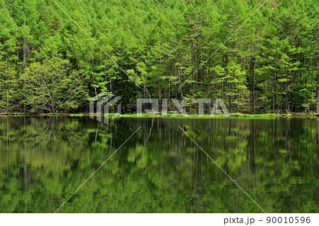 新緑の森を倒影する御射鹿池 90010596