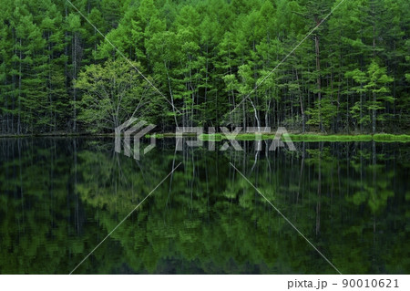 新緑の森を倒影する御射鹿池 90010621