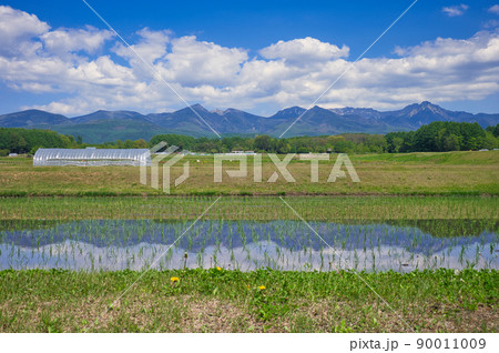 水田と八ヶ岳連峰のリフレクション 90011009