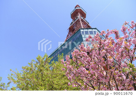 春のさっぽろテレビ塔（空バック） 90011670