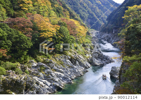 紅葉の大歩危峡遊覧 紅葉の大歩危峡遊覧 90012114